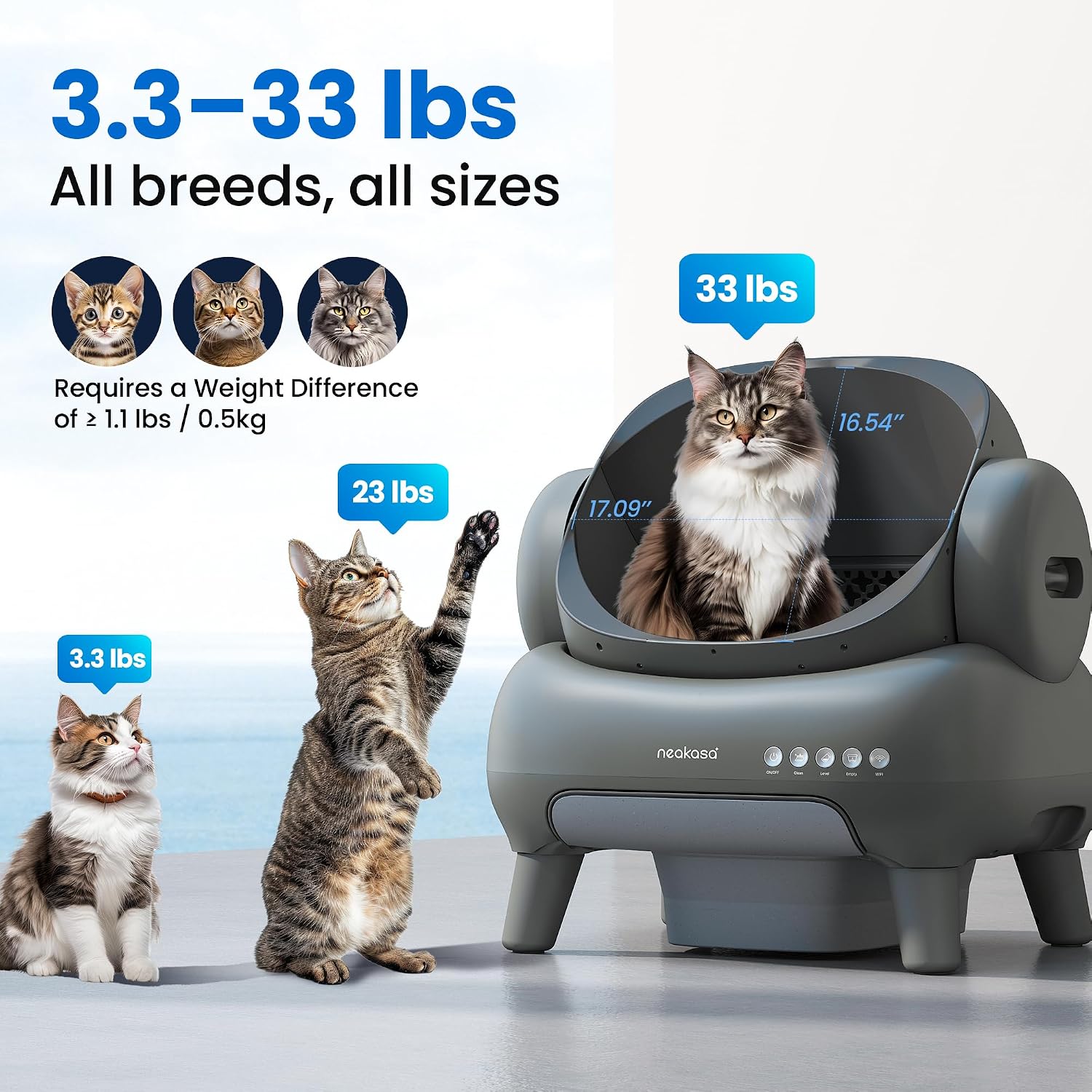 Large domestic cat standing freely in Neakasa M1 Plus 100% open-top basin